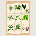 High-resolution visual of the Moroccan culinary herbs wall art, shown either in a stylish interior setting or as a detailed product mockup.